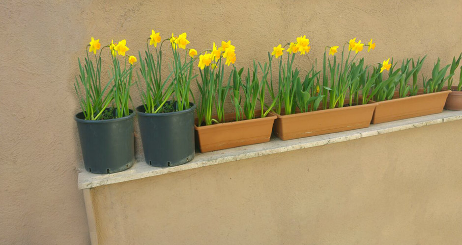 Ataşehir kız yurtlarının en lüks ve donanımlı olanı